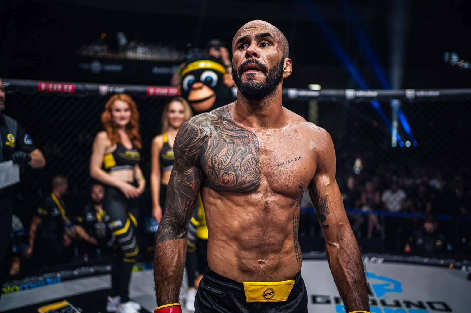 Im Käfig
